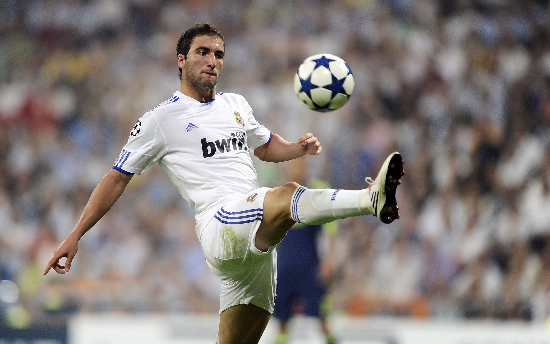 深圳队正面击溃辽宁队,布克成为关键先生